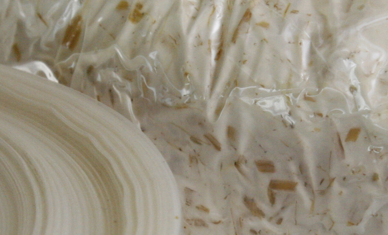 psbr_oesterzwam-kweekfolie-slider1