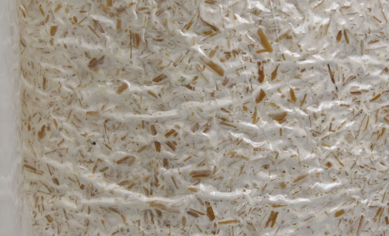 psbr_oesterzwam-kweekfolie-slider2