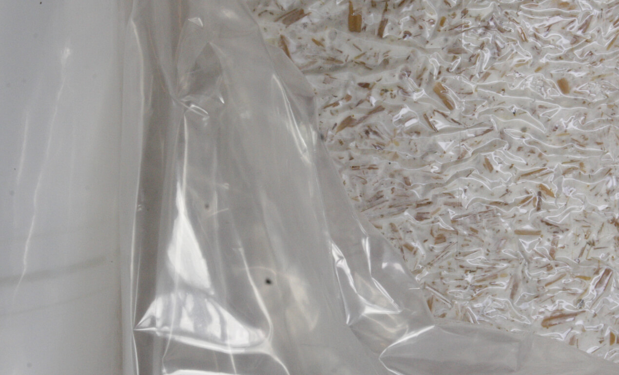 psbr_oesterzwam-kweekfolie-slider3